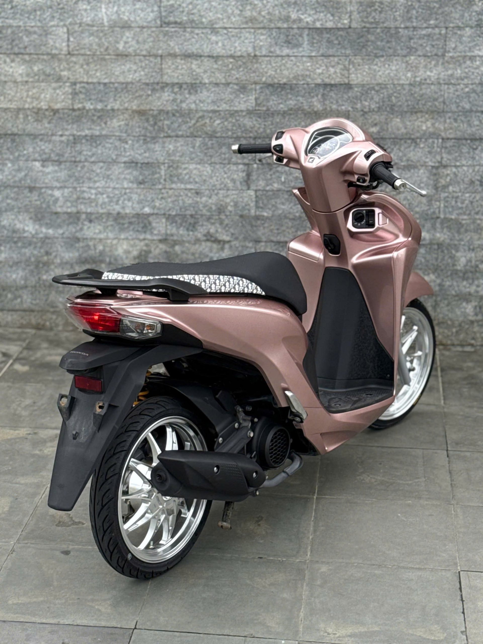 Vision mẫu mới full kiểng - Ảnh 2