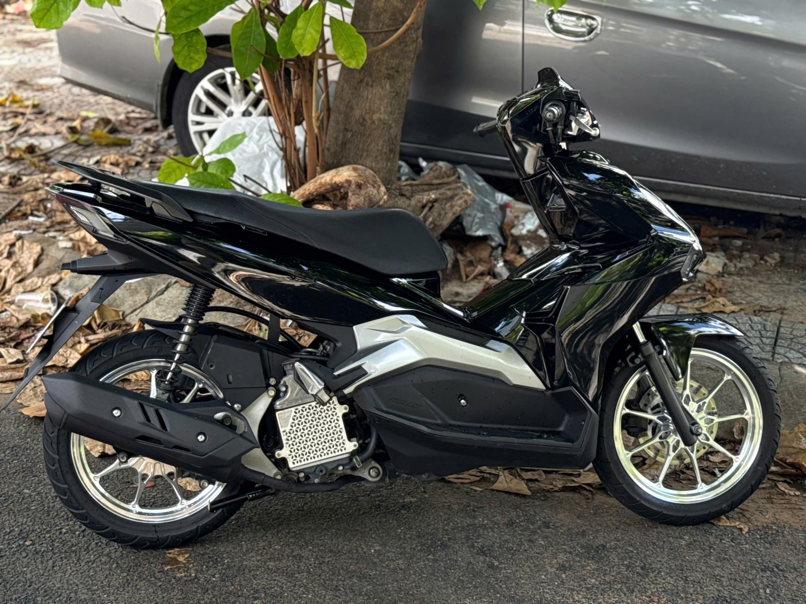 AB 125 zin kiểng - Ảnh 4