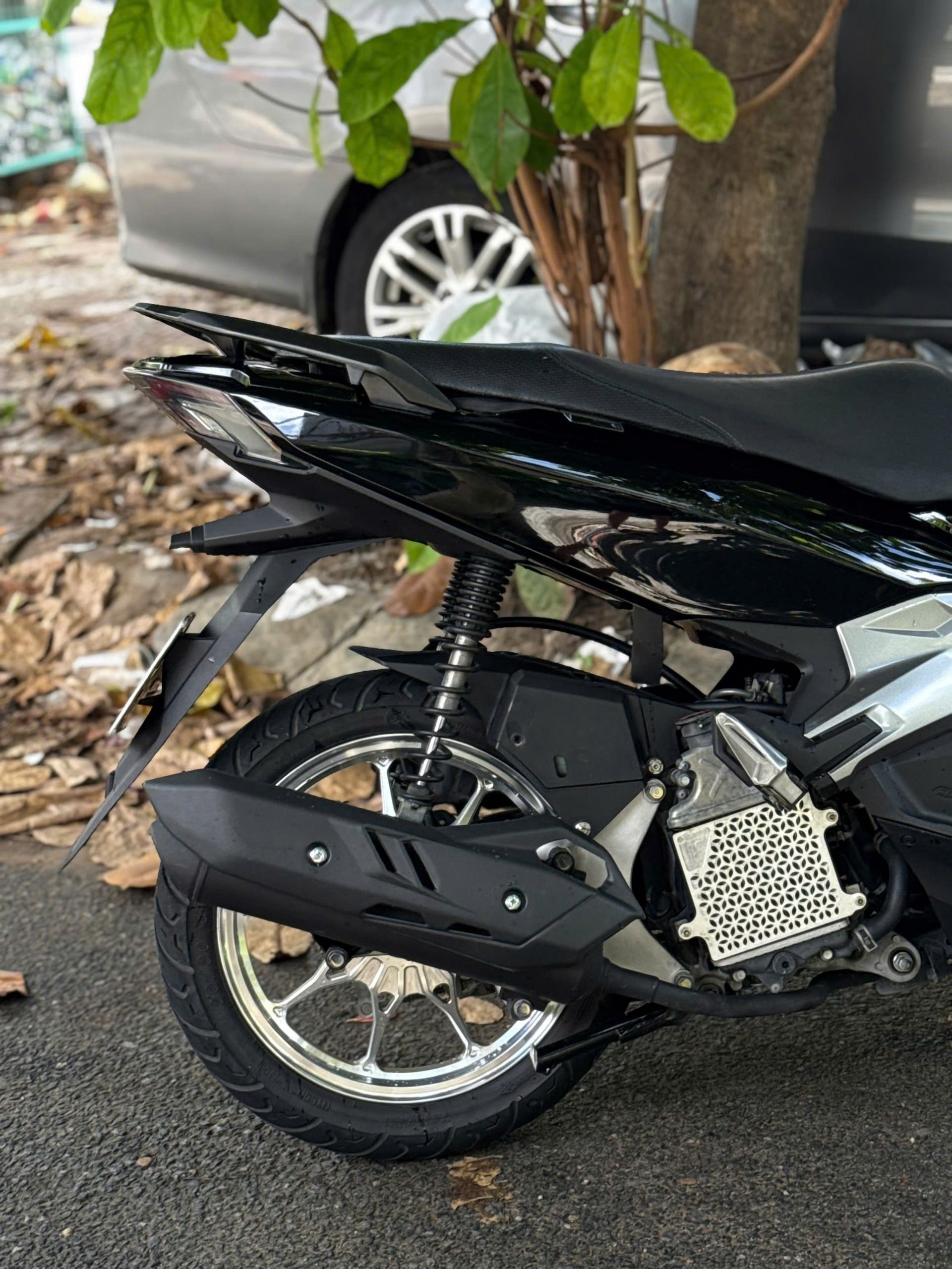 AB 125 zin kiểng - Ảnh 2