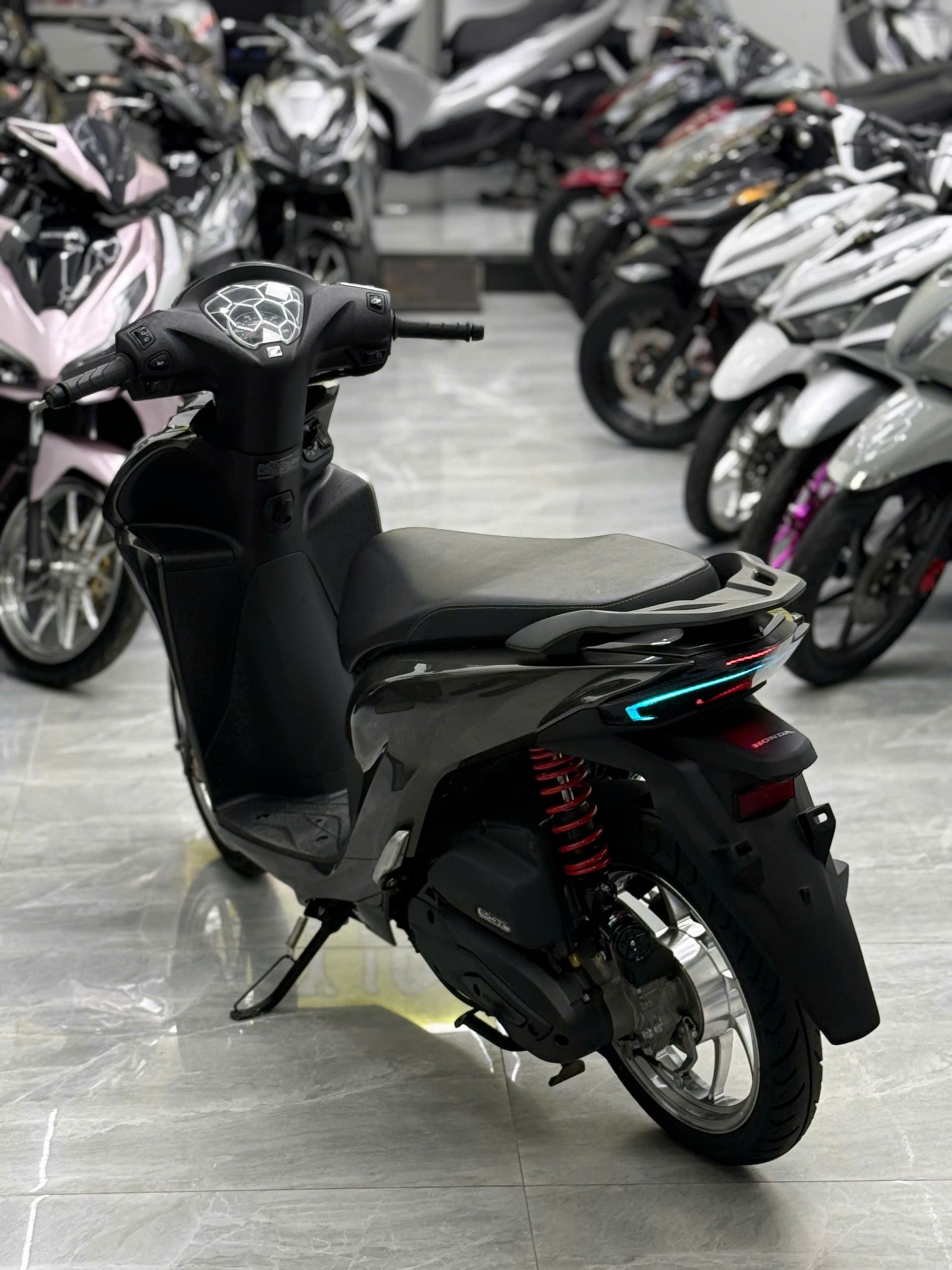 Vario full kiểng - Ảnh 3