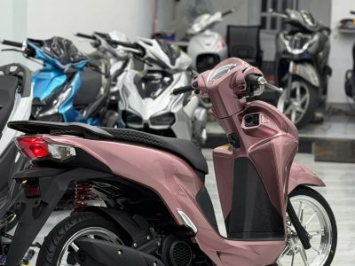 Alternative view of Vision full kiểng