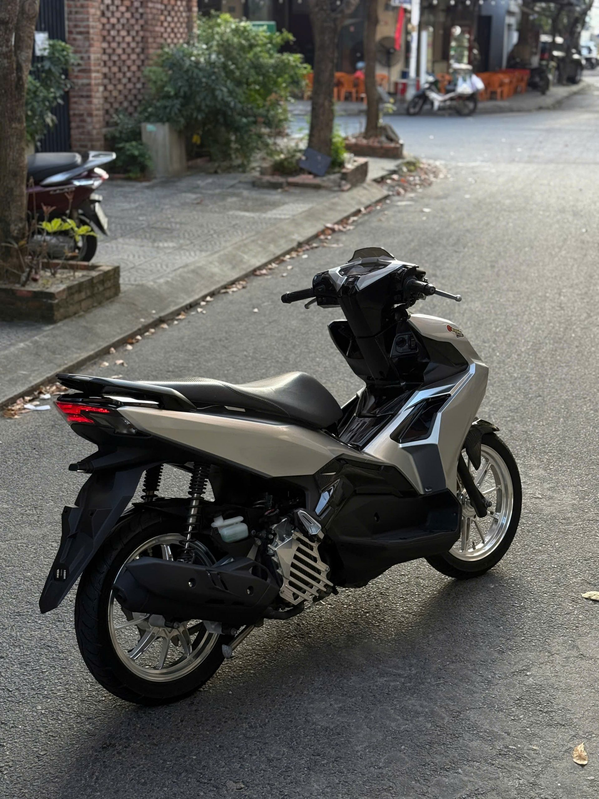 AB 125 zin kiểng - Ảnh 3