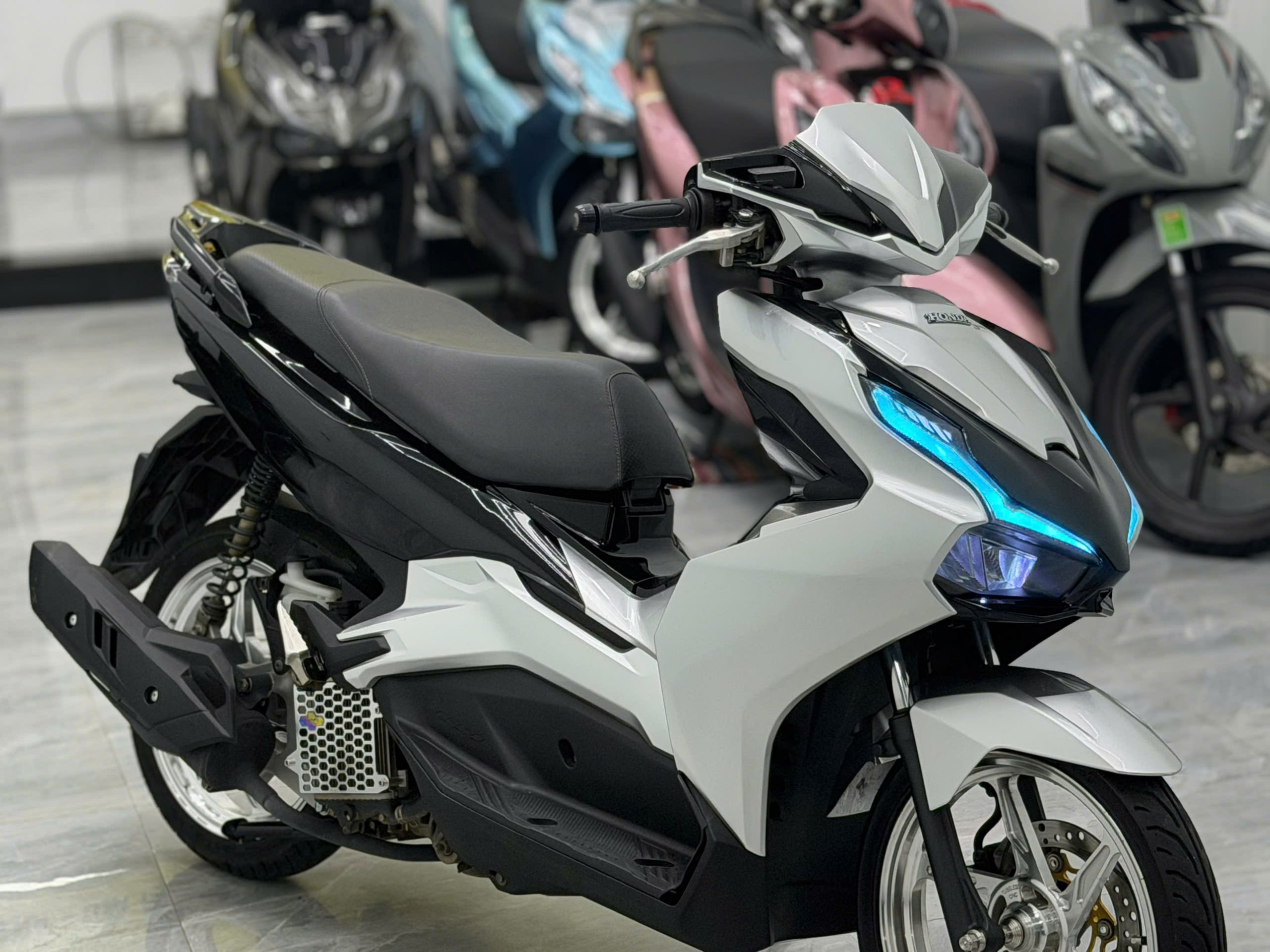 AB 125 zin kiểng - Ảnh 3