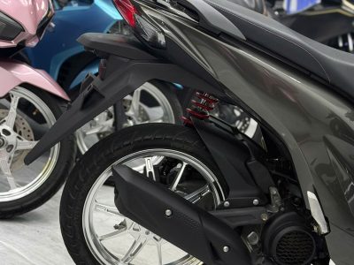 Alternative view of Vision zin kiểng