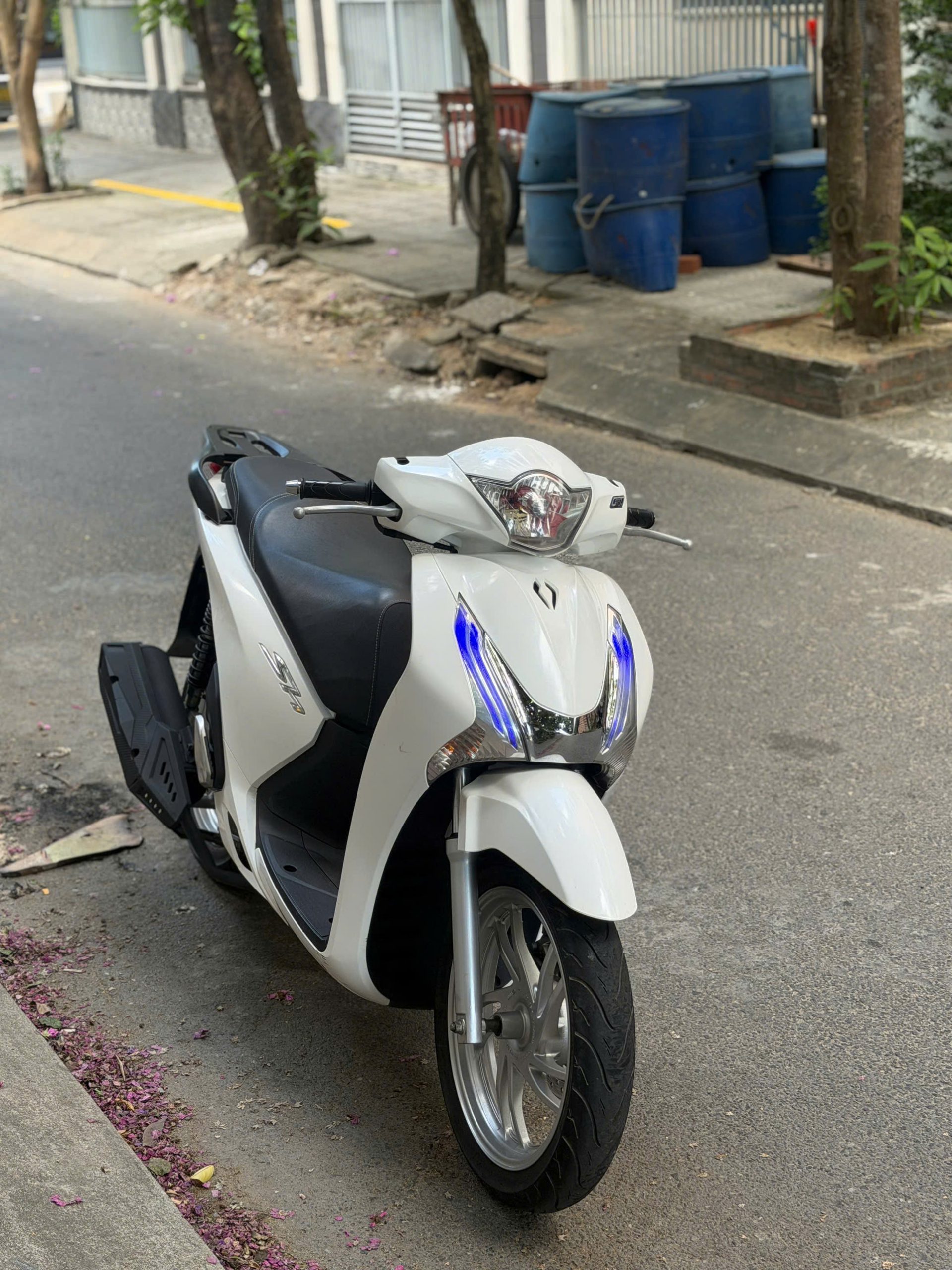 SH 125 2014 zin