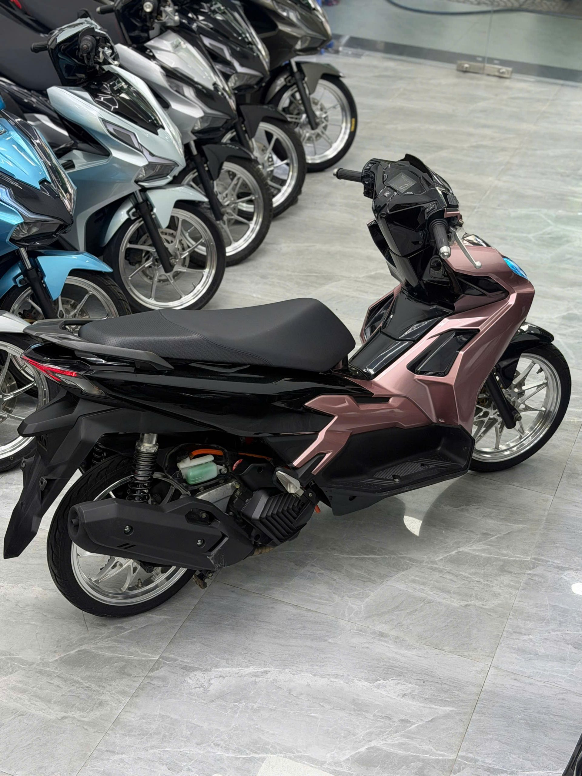AB 125 4val zin kiểng - Ảnh 2