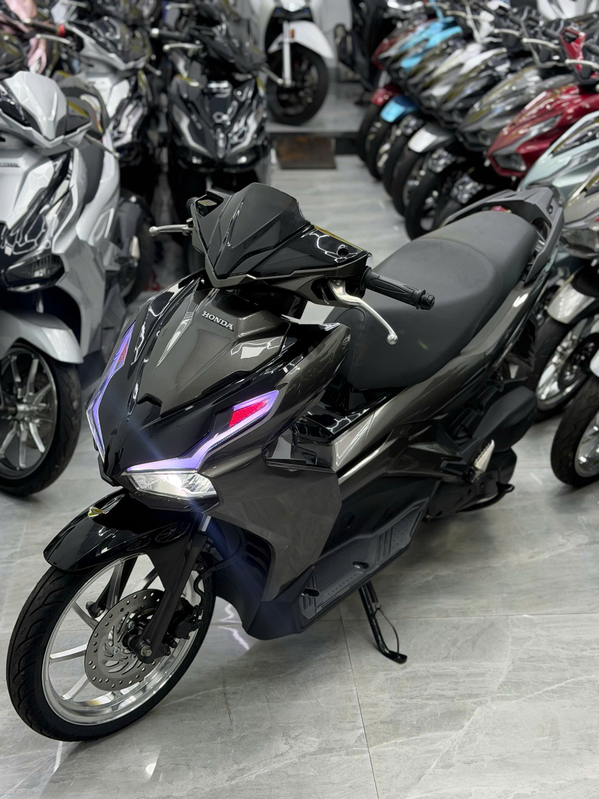 AB 125 xám lampo zin kiểng